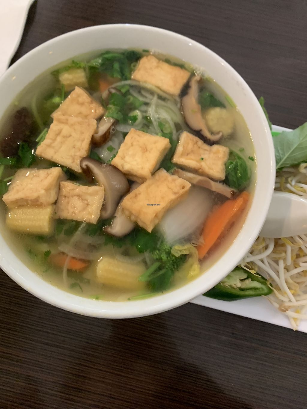 Sprout's Springroll & Pho Arlington Texas Restaurant HappyCow