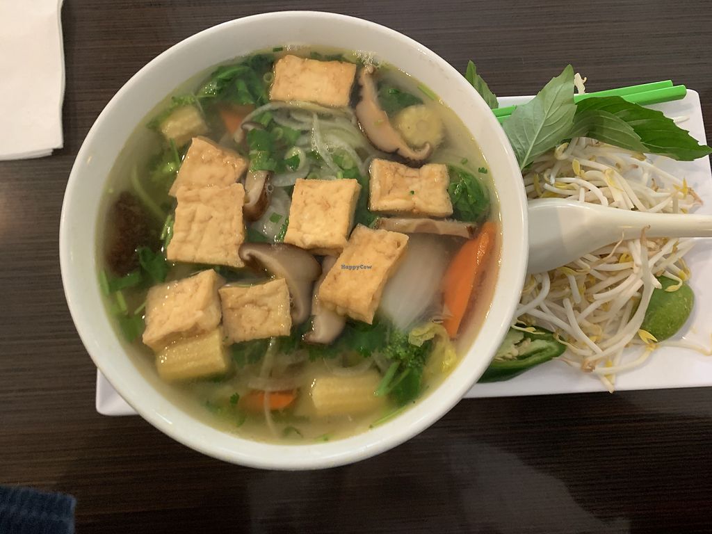 Sprout's Springroll & Pho Arlington Texas Restaurant HappyCow