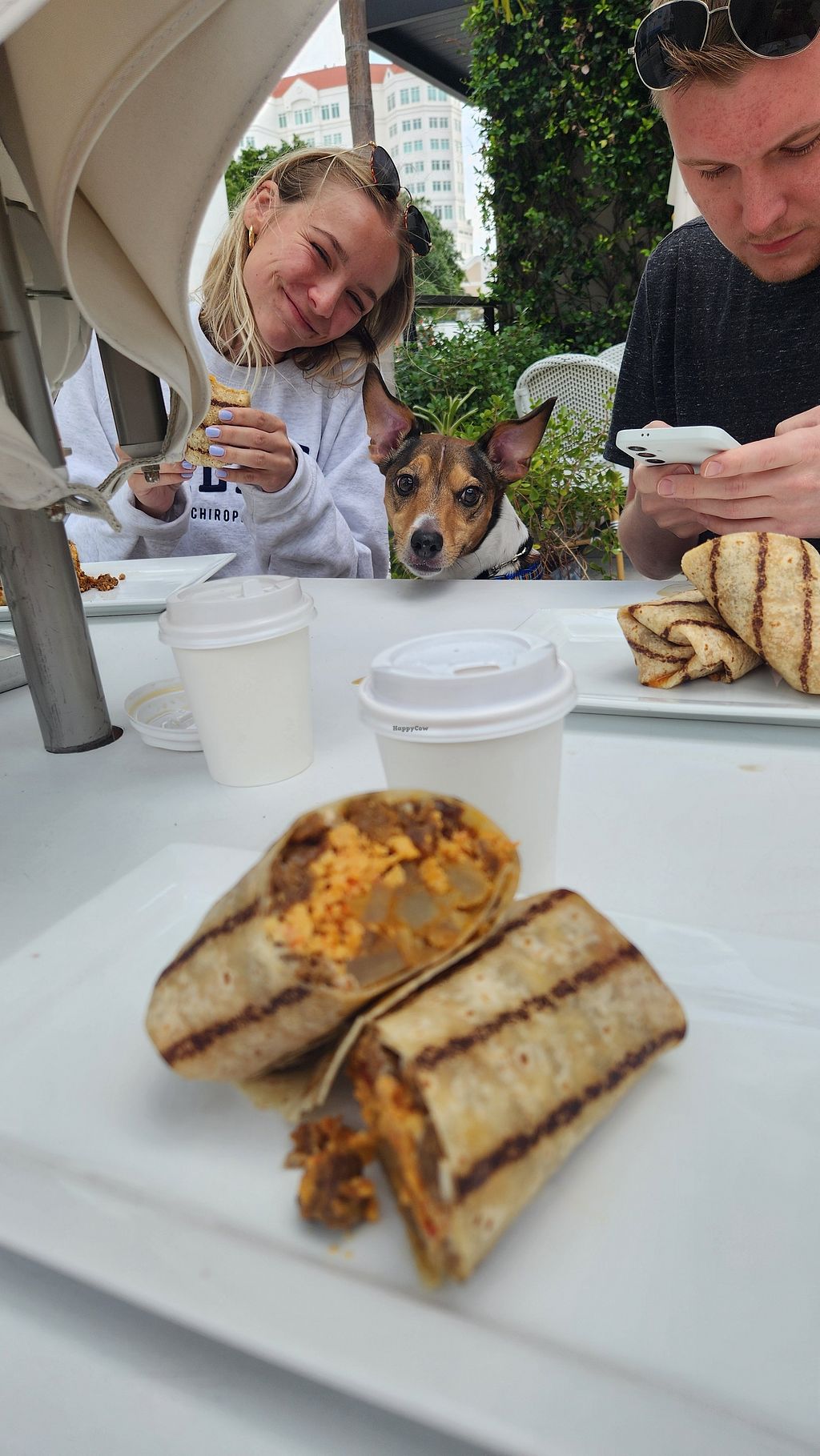 Meraki Juice Kitchen North Palm Beach Florida Restaurant HappyCow