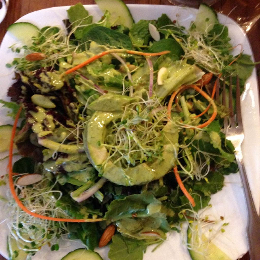 CLOSED Leafy Greens Cafe St Petersburg Florida Restaurant HappyCow