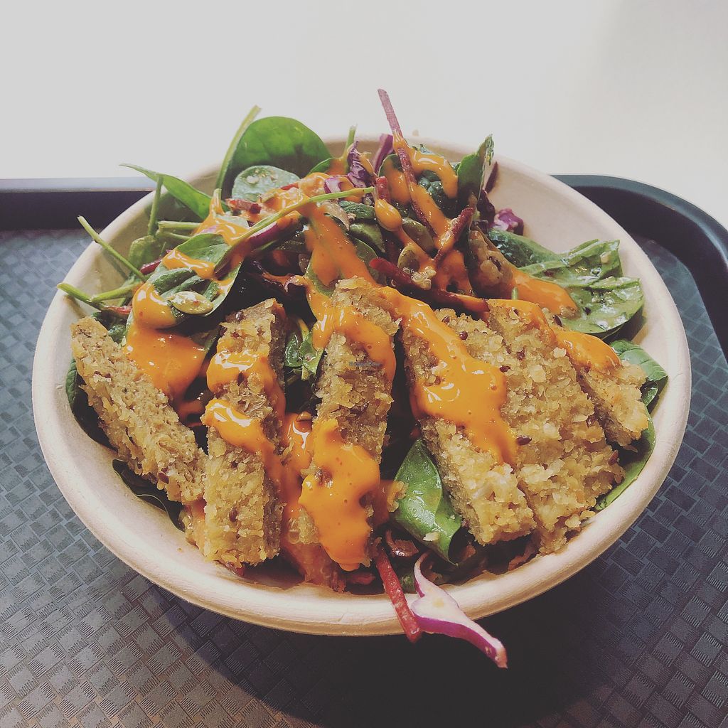 CLOSED Sumo Salad Sydney New South Wales Restaurant HappyCow