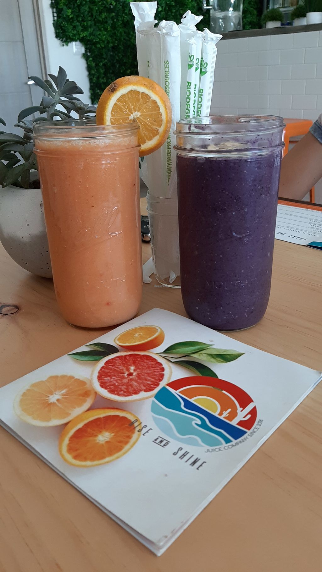 CLOSED Rise and Shine Juice Co. San Jose Del Cabo Juice Bar HappyCow