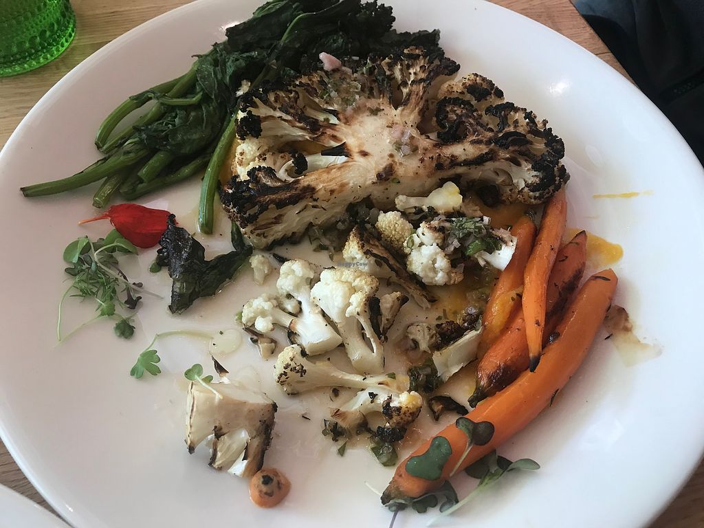 CLOSED: Lemon Tree Kitchen - Sarasota Florida Restaurant - HappyCow