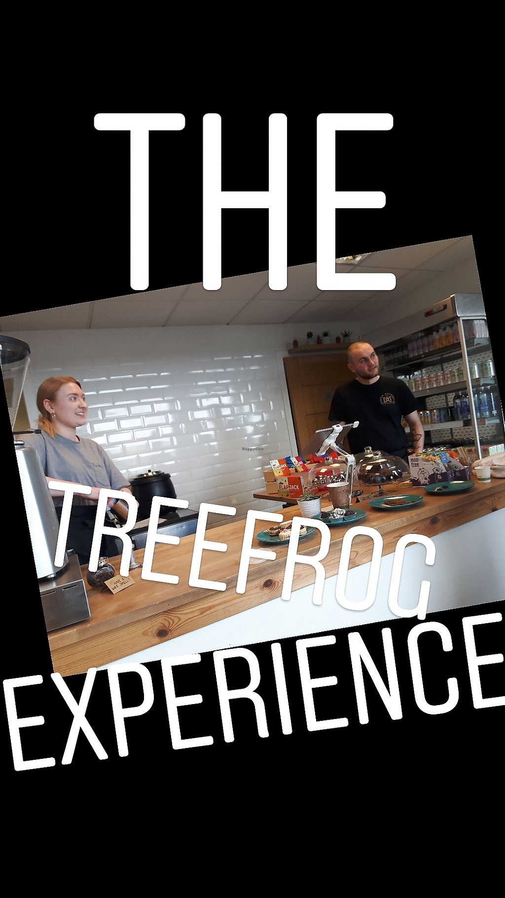 CLOSED Tree Frog Coffee Shop Livingston Restaurant HappyCow