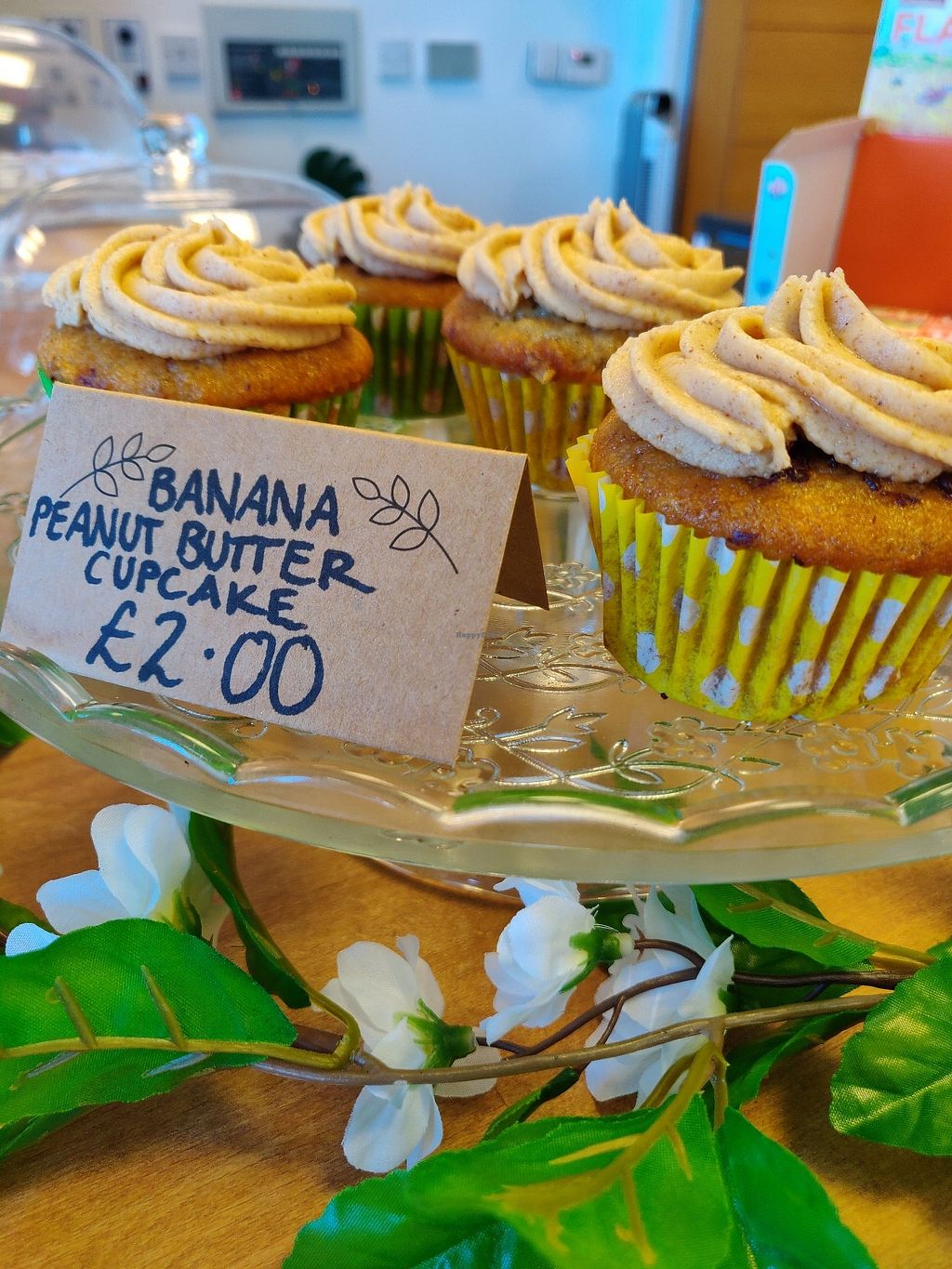 CLOSED Tree Frog Coffee Shop Livingston Restaurant HappyCow