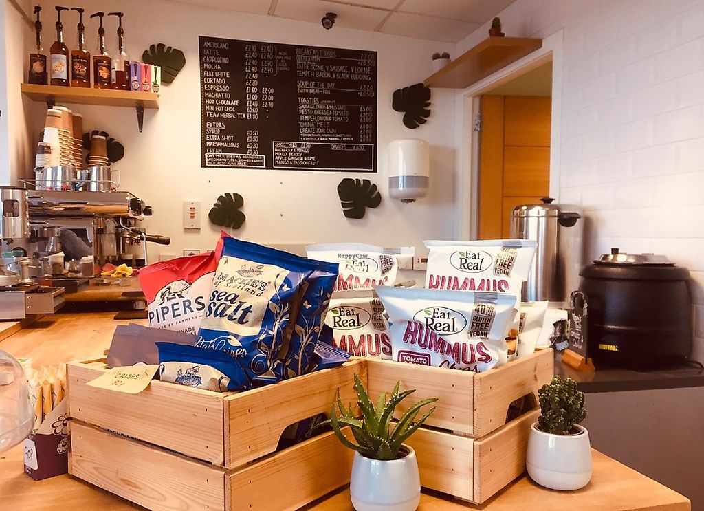 CLOSED Tree Frog Coffee Shop Livingston Restaurant HappyCow