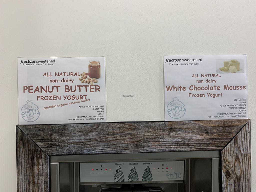 CLOSED Emmy's Frozen Yogurt Knoxville Tennessee Ice Cream HappyCow