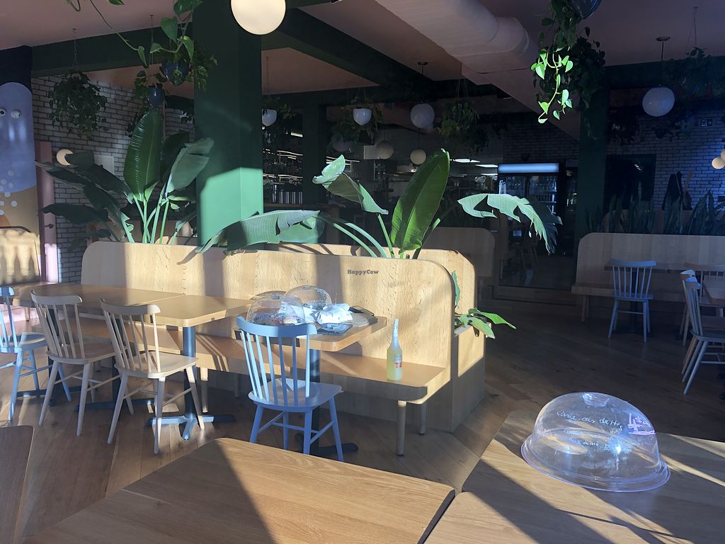 CLOSED Hello 123 NotreDame St Montreal Quebec Restaurant HappyCow