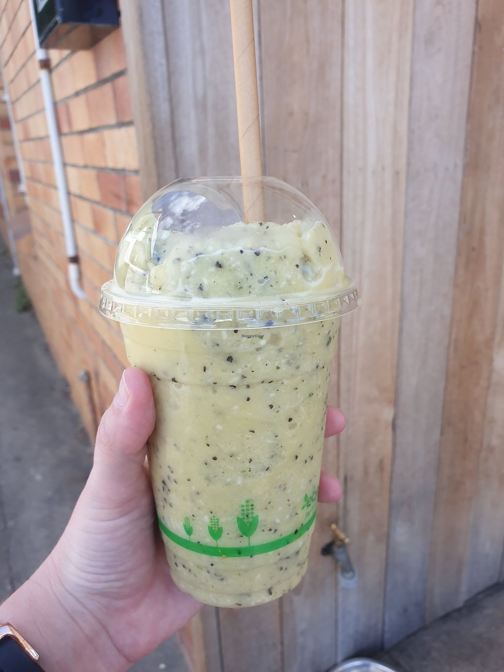 The Salt Mill Currumbin Queensland Coffee & Tea HappyCow