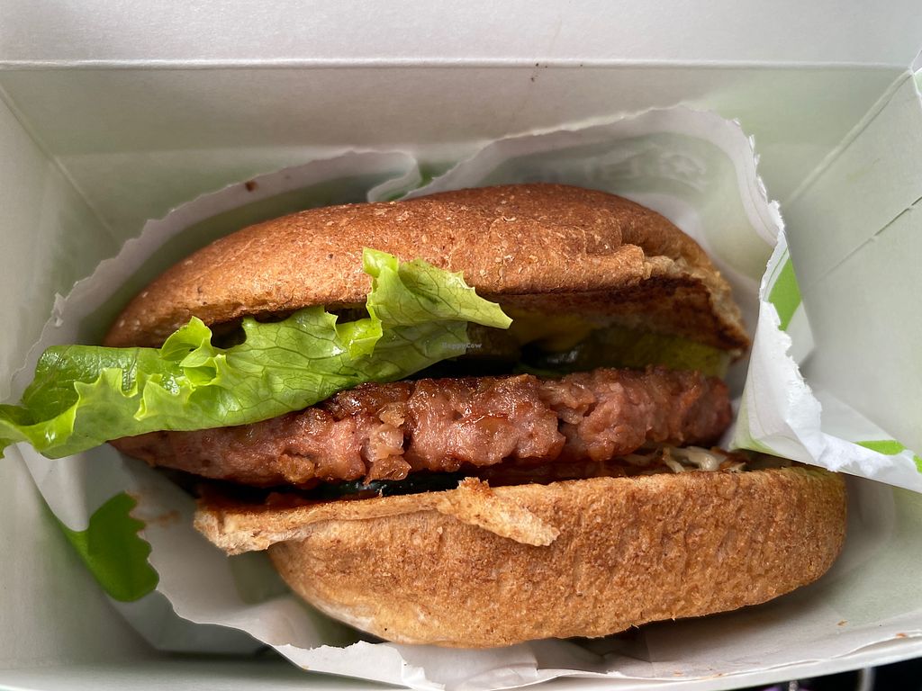 CLOSED BurgerFi South Padre Island Texas Restaurant HappyCow