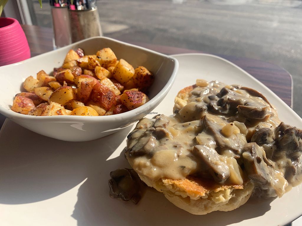 Robin's Table Biddeford Maine Restaurant HappyCow