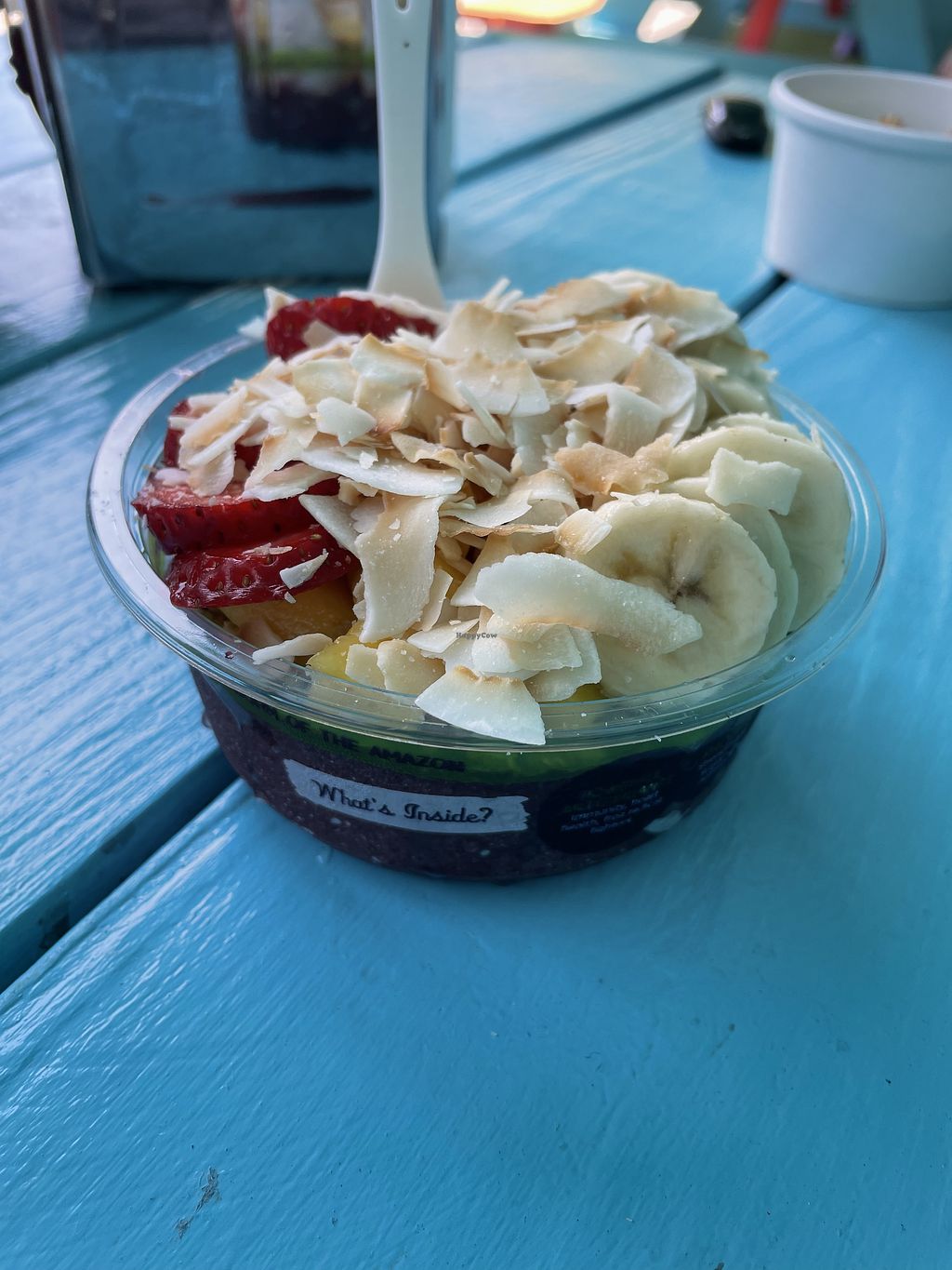 The Cooler Clearwater Beach Florida Juice Bar HappyCow