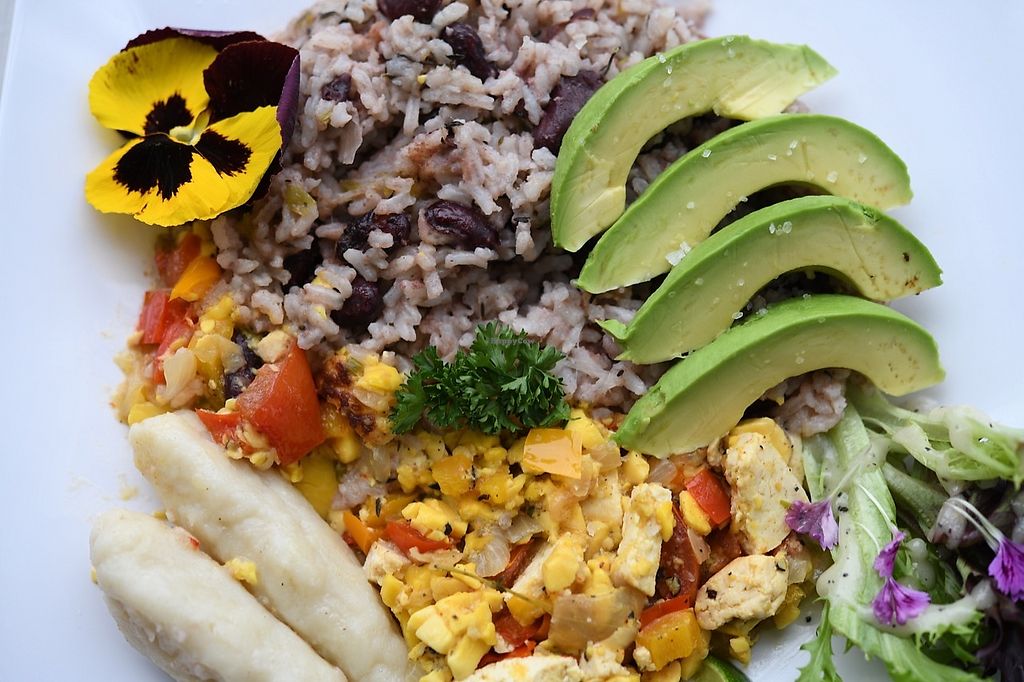 Kaspace Cafe Toronto Ontario Restaurant Happycow