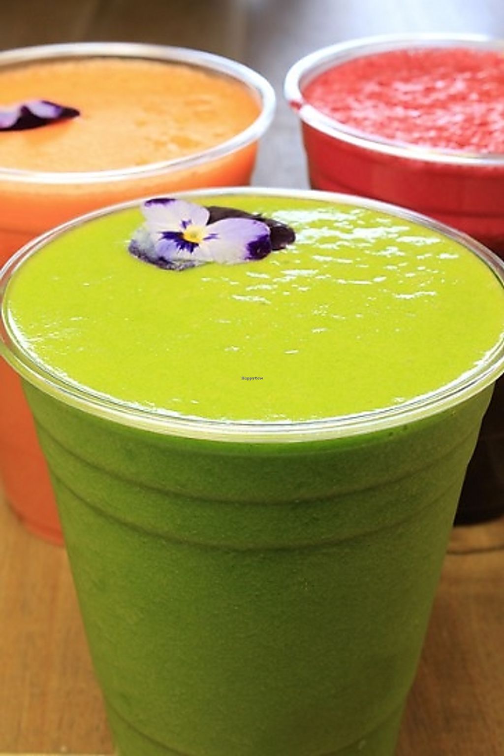 CLOSED Ruta Raw Canton Massachusetts Juice Bar HappyCow