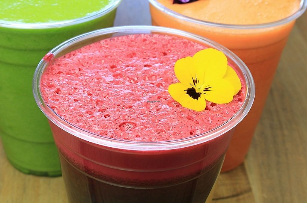 CLOSED Ruta Raw Canton Massachusetts Juice Bar HappyCow