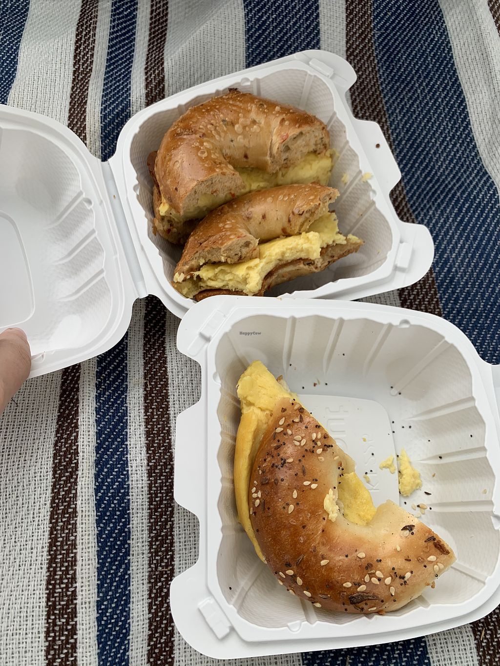 CLOSED Solomon Bagel Company San Diego California Bakery HappyCow