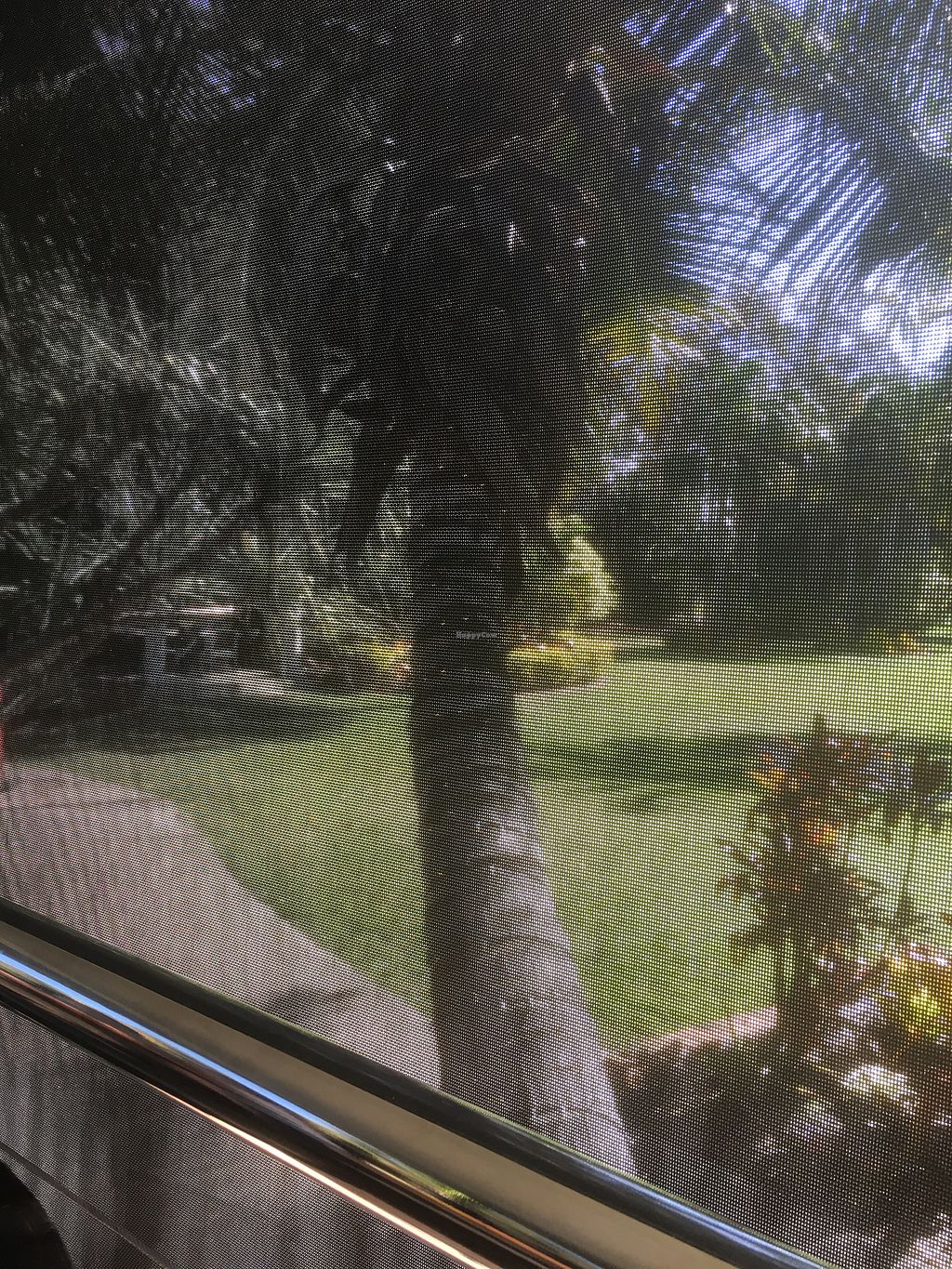 CLOSED Getaway Garden Cafe Agnes Water Queensland Restaurant HappyCow