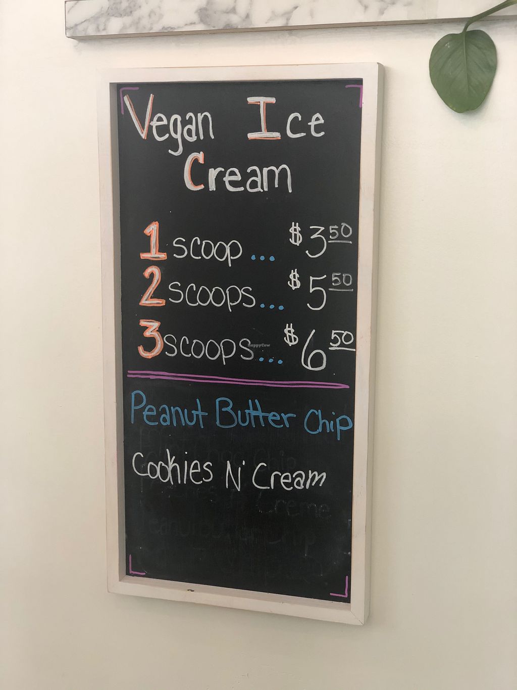 CLOSED Glo Juice Bar + Cafe Dayton Ohio Juice Bar HappyCow