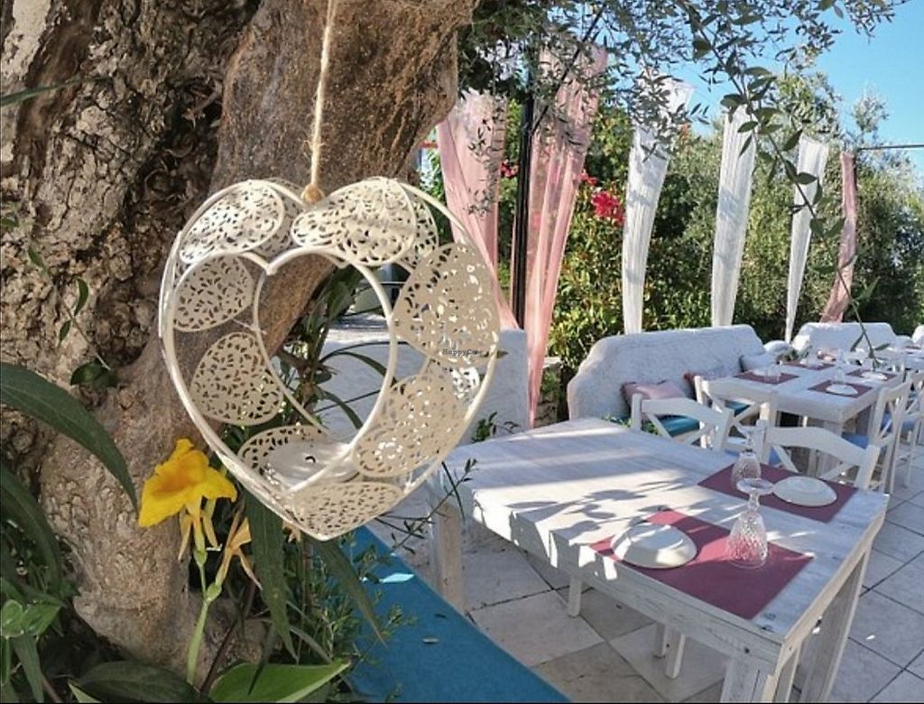 Jasmine Restaurant Planos Restaurant HappyCow