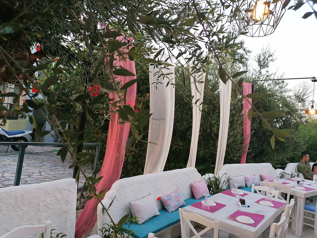 Jasmine Restaurant Planos Restaurant HappyCow