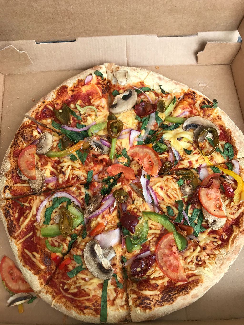 domino s pizza tessenderlo restaurant