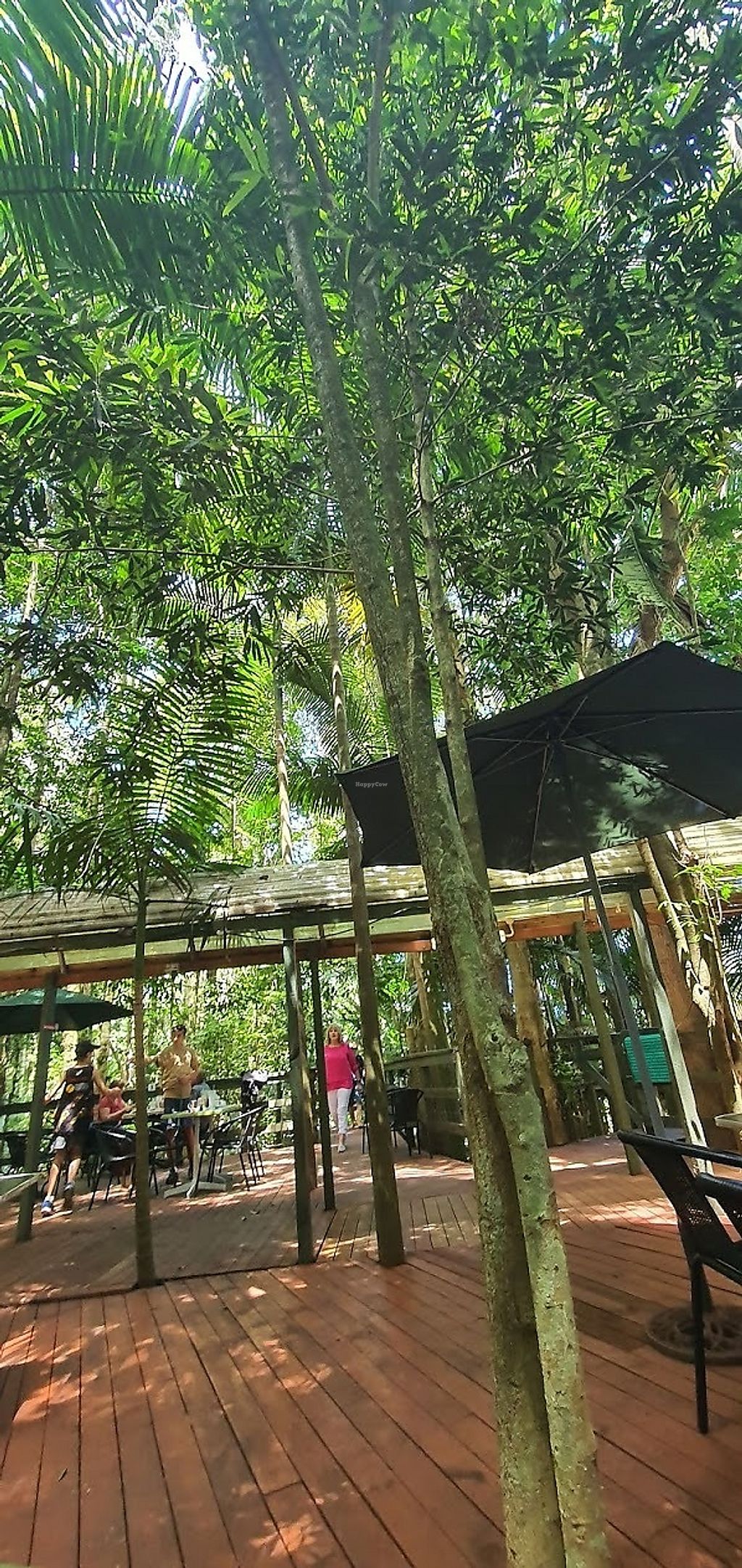 CLOSED LEAF Mount Glorious Queensland Restaurant HappyCow