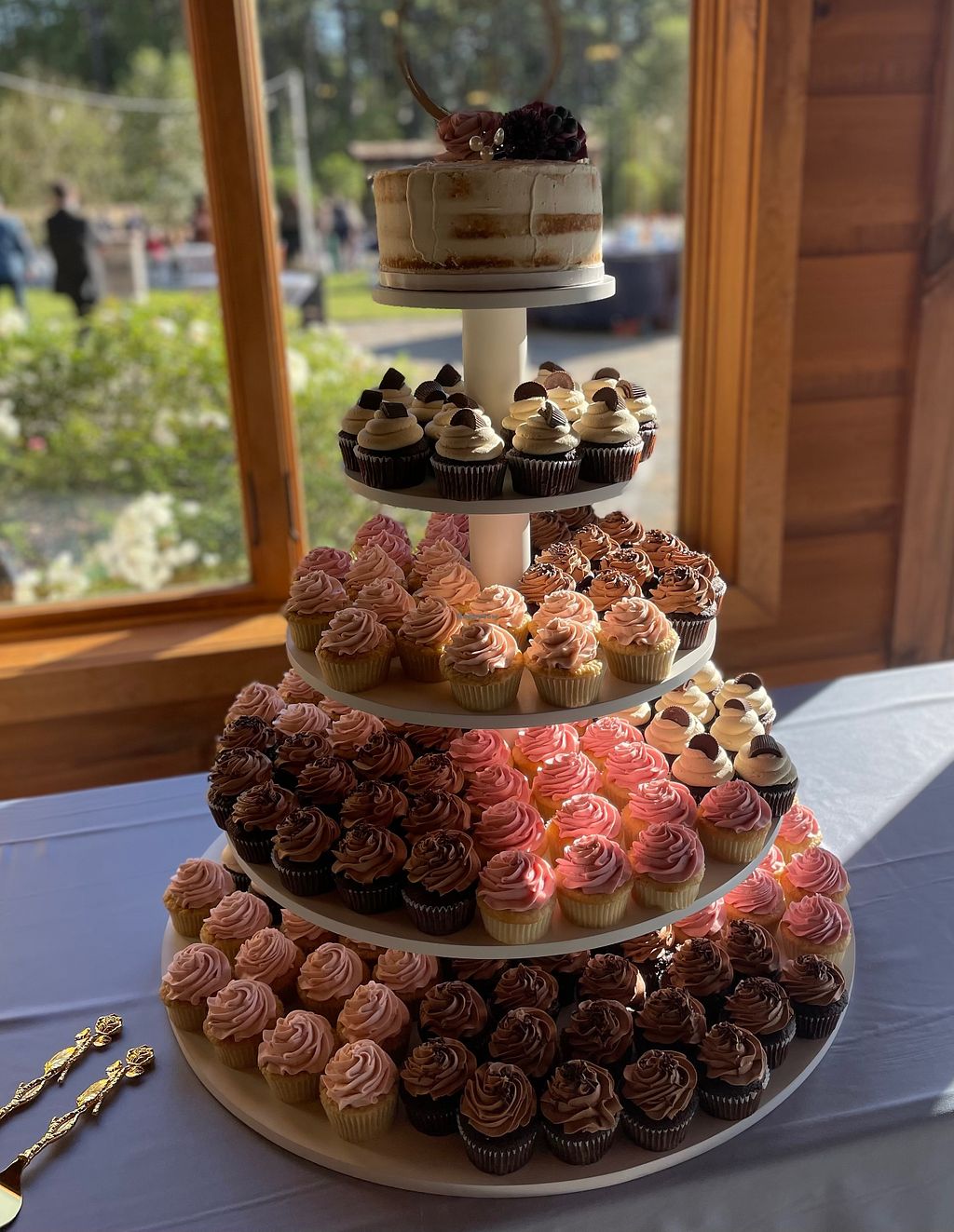 Plant Cakes Bake Shop Wake Forest North Carolina Bakery HappyCow