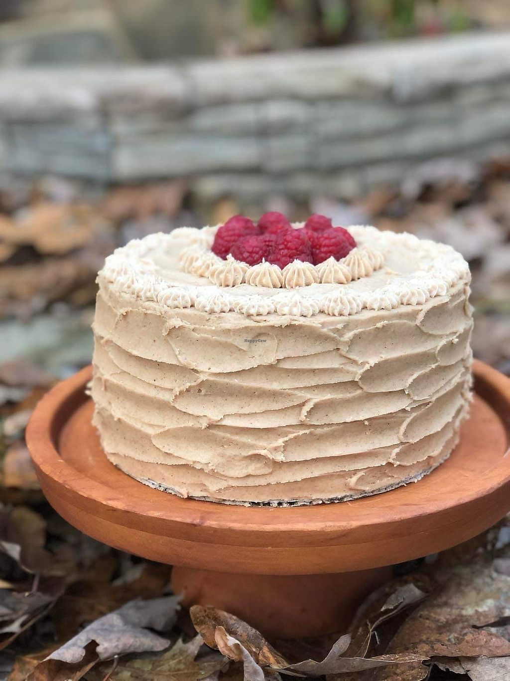 Plant Cakes Bake Shop Wake Forest North Carolina Bakery HappyCow