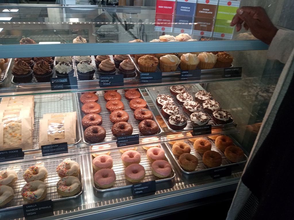 Plant Cakes Bake Shop Wake Forest North Carolina Bakery HappyCow