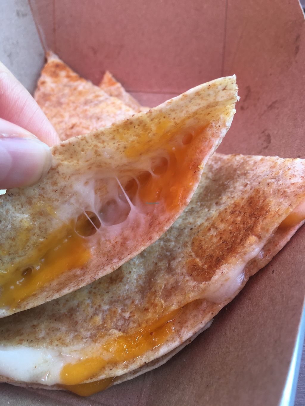 Botanist Vegan Narrowsburg New York Restaurant HappyCow