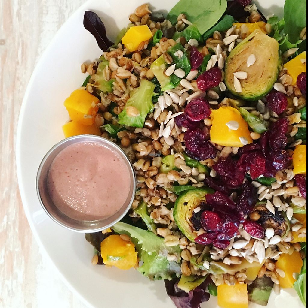 CLOSED Candle Cafe New York City New York Restaurant HappyCow