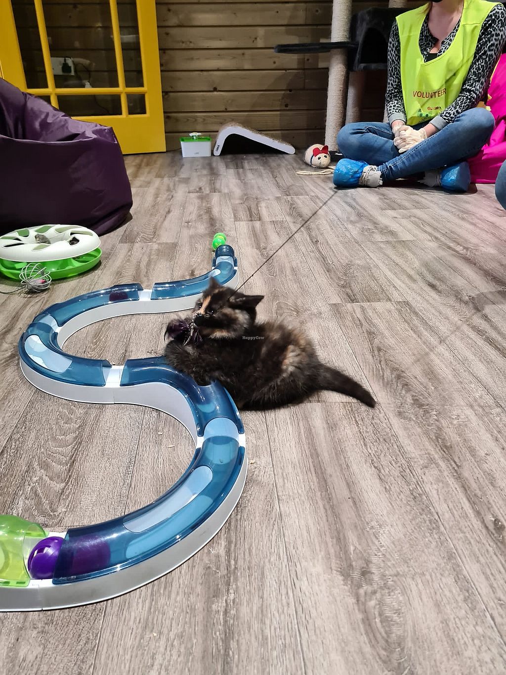 CLOSED The Purr Dublin Restaurant HappyCow