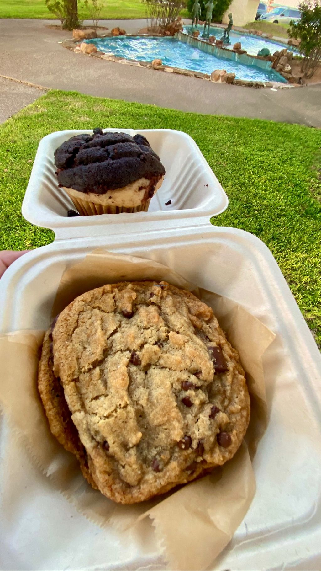 Trendy Eats & Vegan Treats Corpus Christi Texas Bakery HappyCow
