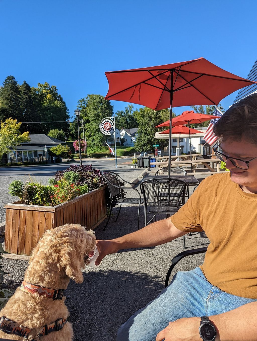 Pure Eats Lexington Virginia Restaurant HappyCow