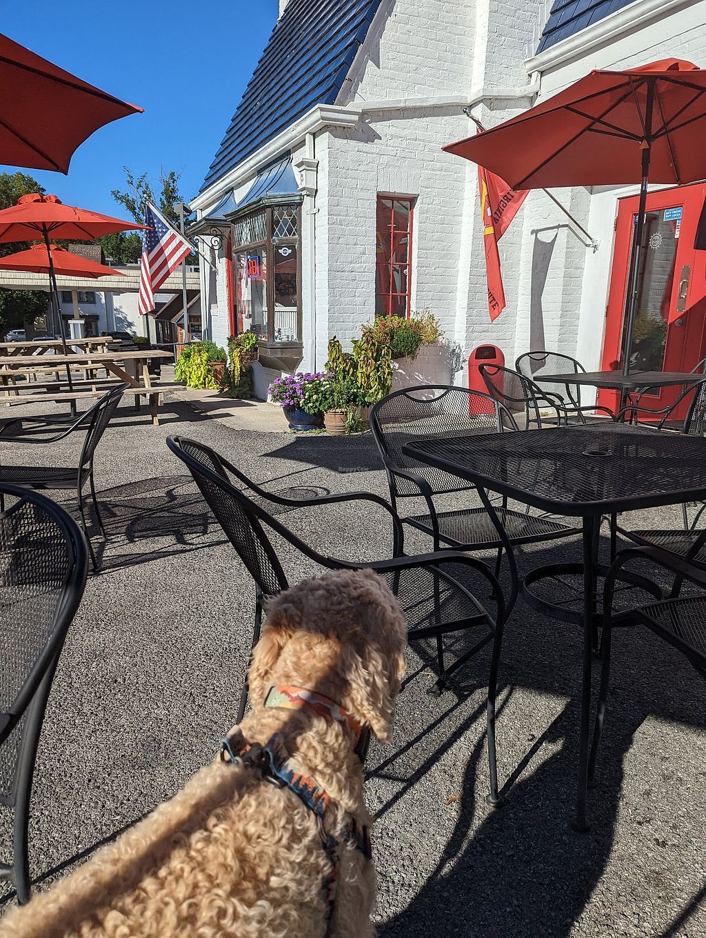 Pure Eats Lexington Virginia Restaurant HappyCow