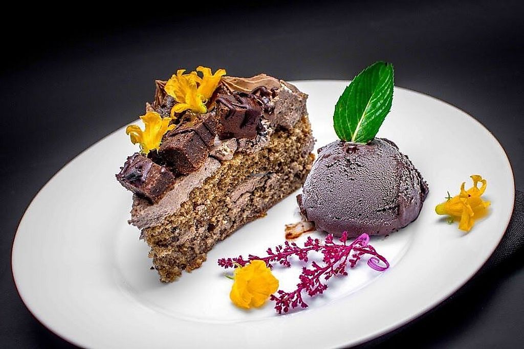 CLOSED Hummus Falafel Playa Del Carmen Restaurant HappyCow