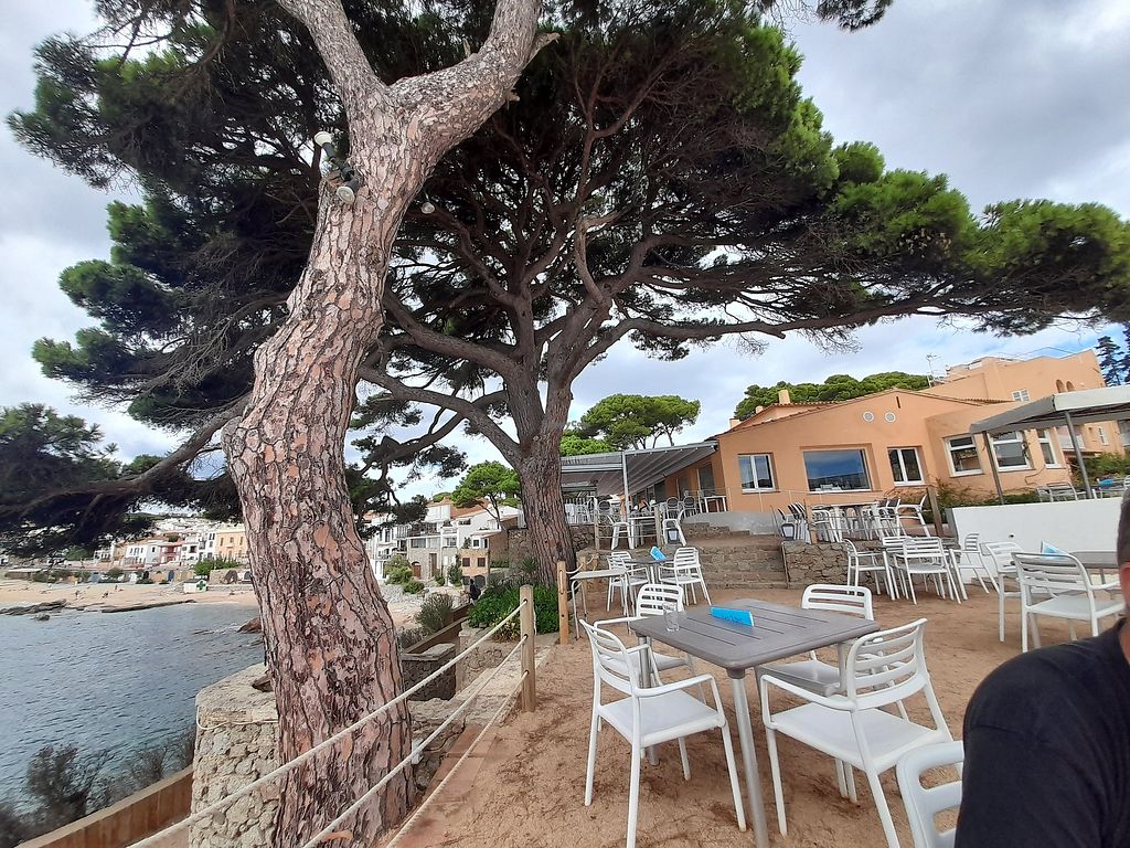 Restaurant la Torre Palafrugell Restaurant HappyCow