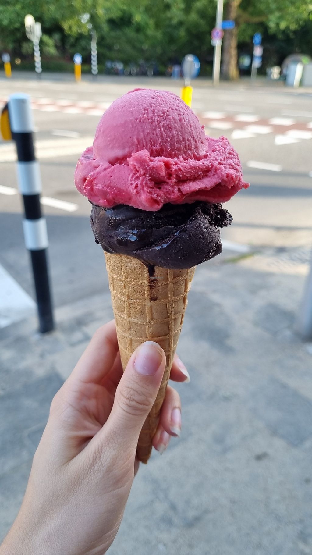 CLOSED The Ice Cream Company Utrecht Ice Cream HappyCow