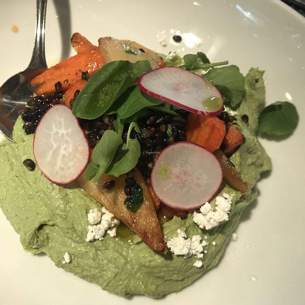 Blue Sage Vegetarian Grille Southampton Pennsylvania Restaurant