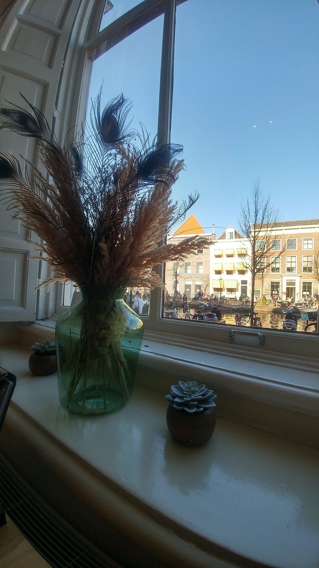 Brownies & downieS Leiden Restaurant HappyCow