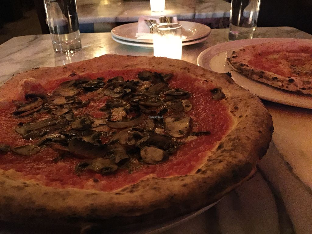 Via Tribunali Seattle Washington Restaurant HappyCow