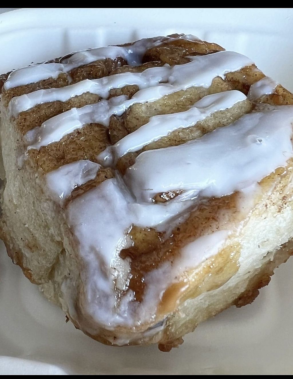 Rabble Rise Doughnuts New Paltz New York Bakery HappyCow