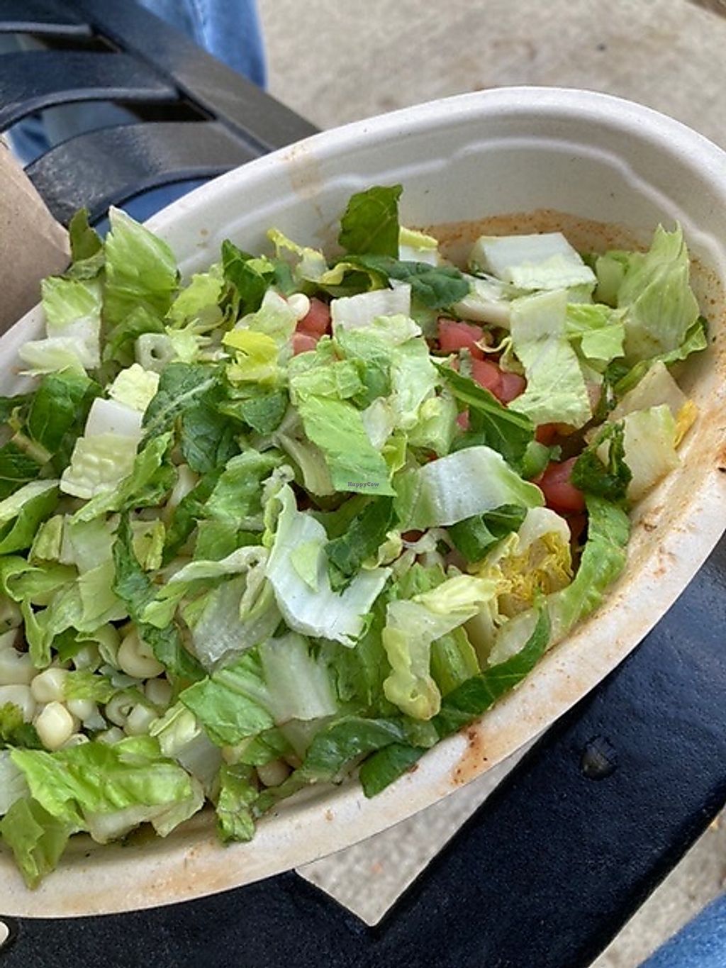 Chipotle Defiance Ohio Restaurant HappyCow