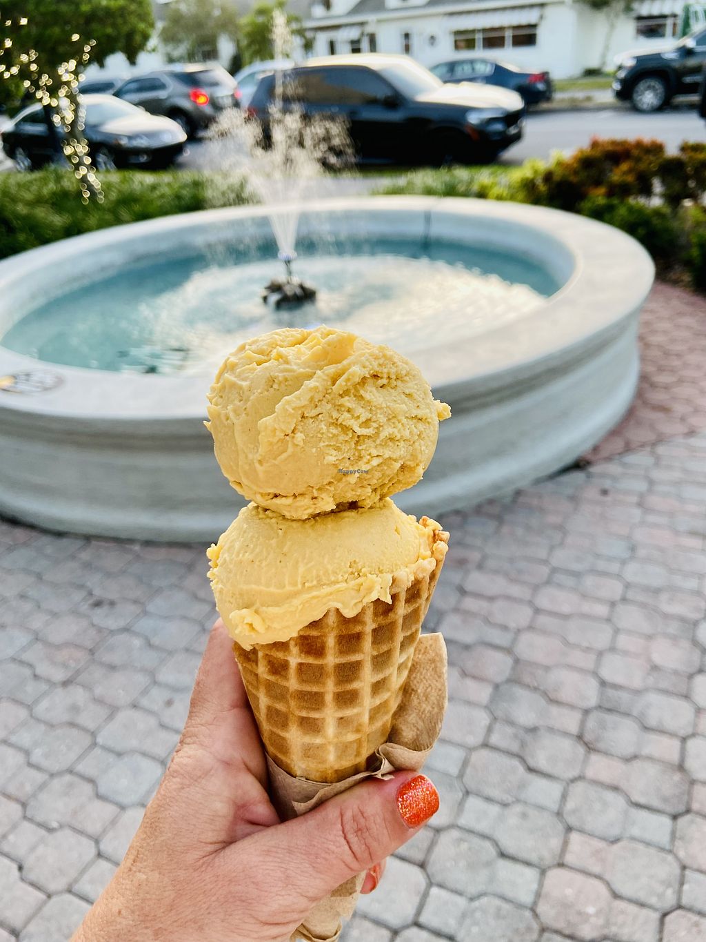 CLOSED Chelsea's Cashew Creamery Dunedin Florida Ice Cream HappyCow