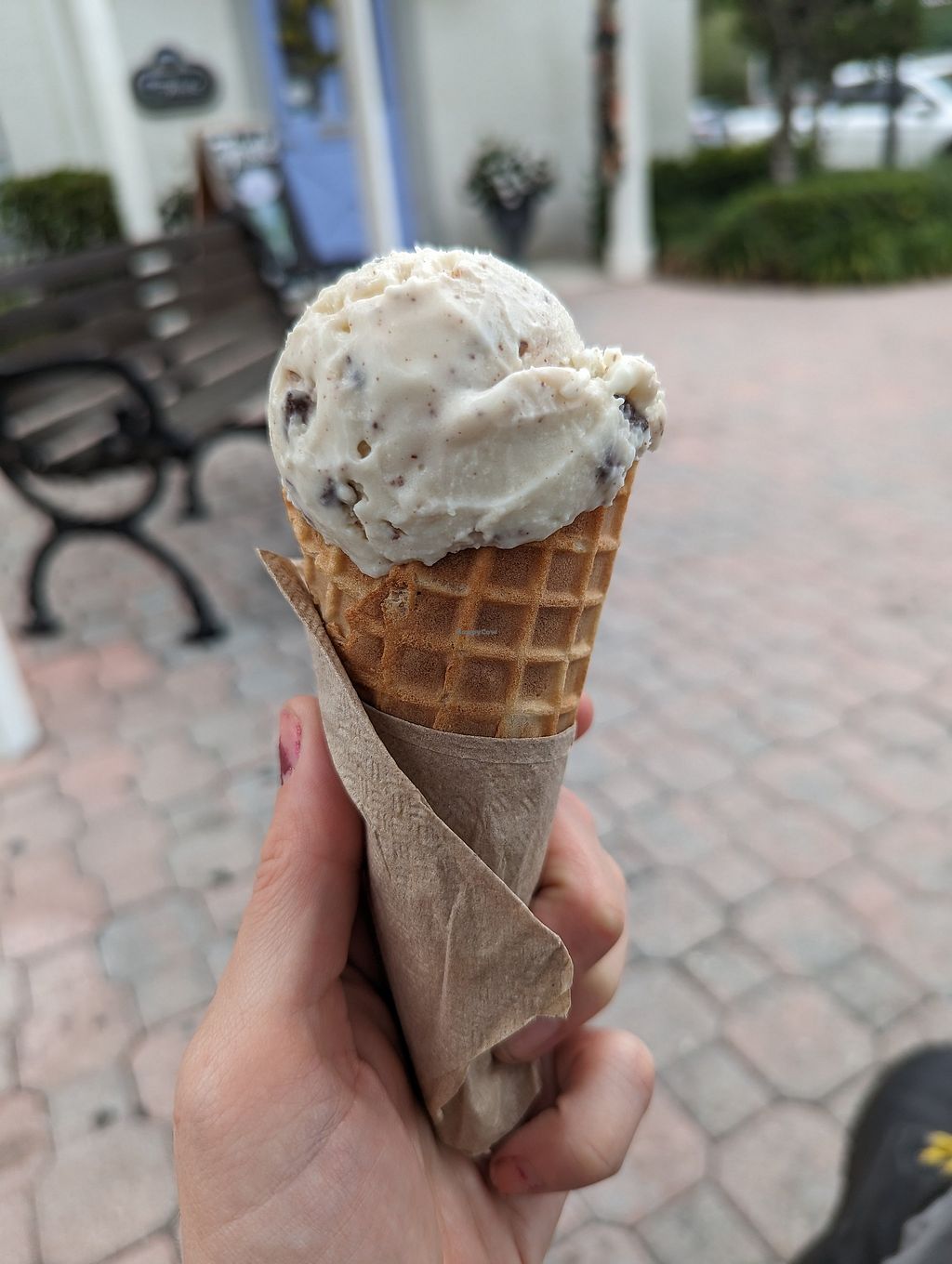 CLOSED Chelsea's Cashew Creamery Dunedin Florida Ice Cream HappyCow