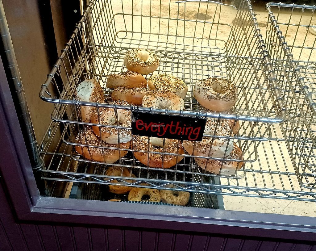 Gib's New York Bagels Fort Collins Colorado Restaurant HappyCow