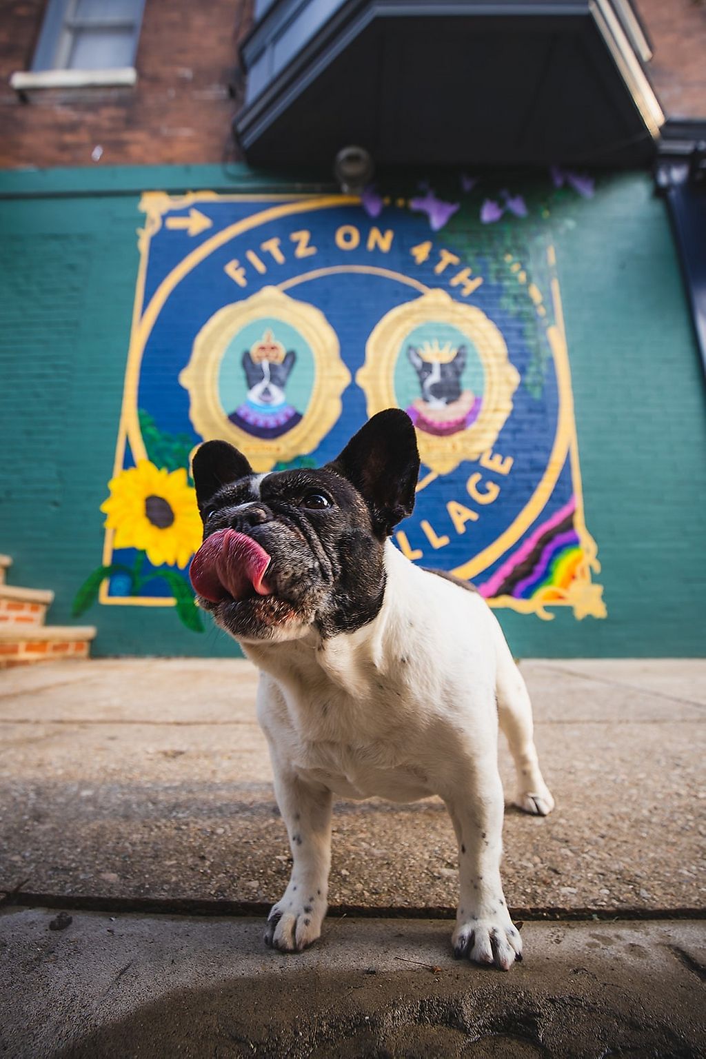Fitz on 4th - Philadelphia Pennsylvania Restaurant - HappyCow