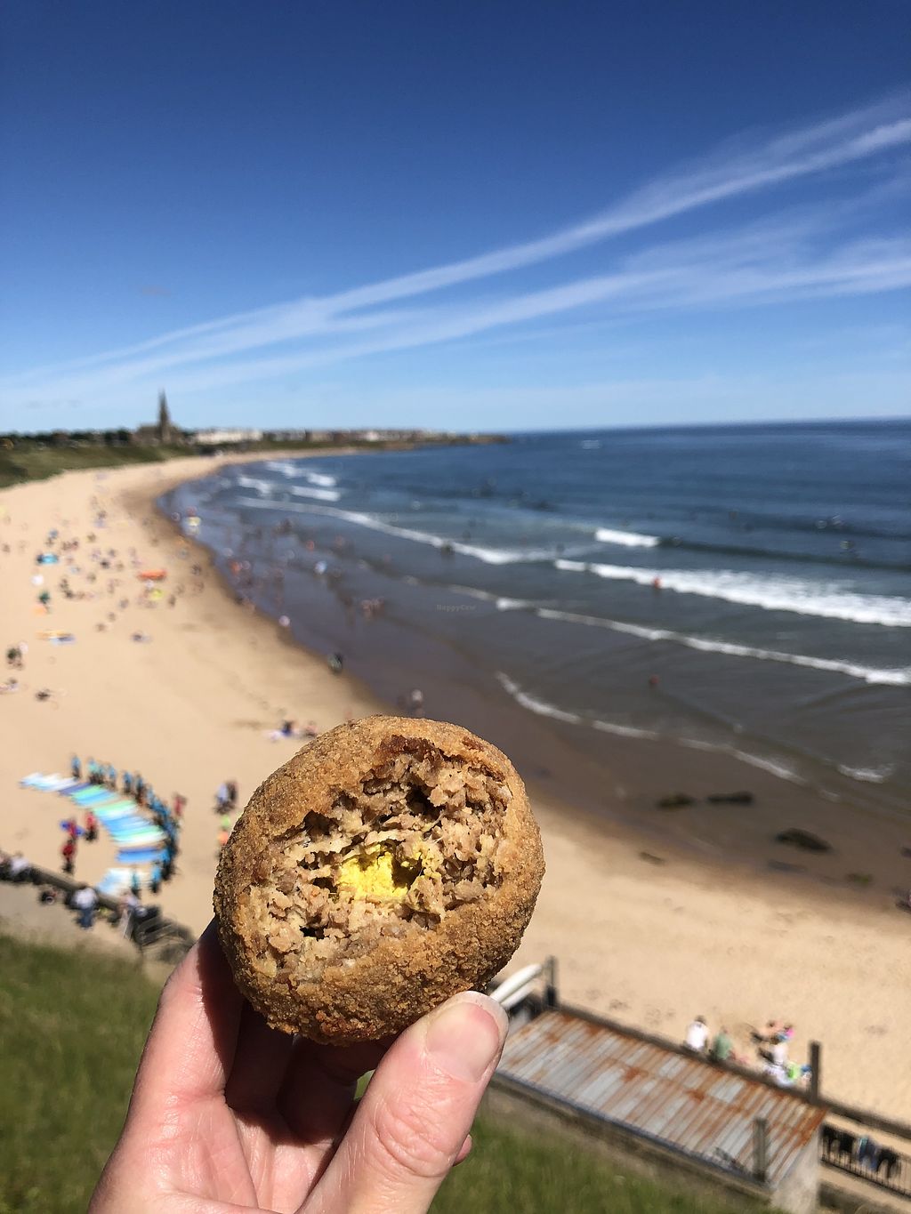 Are Dogs Allowed In Tynemouth Market