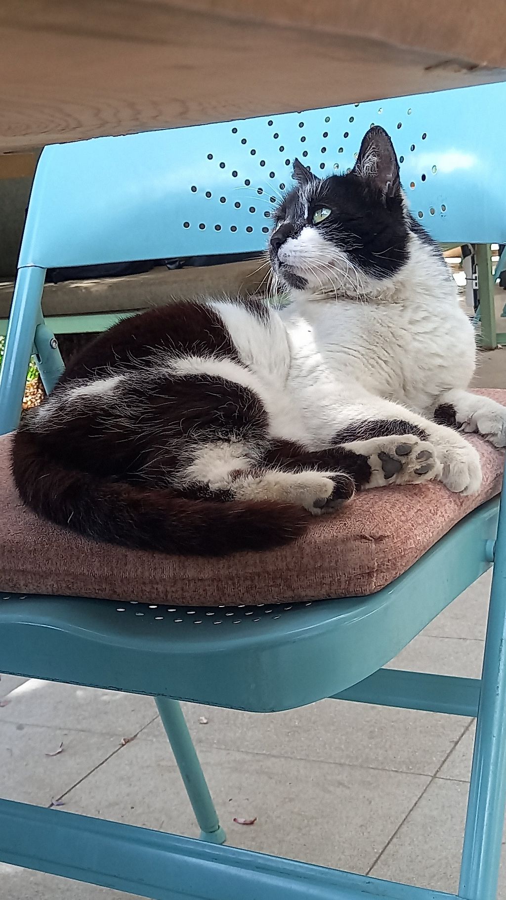 Habitat Breakfast Factory Izmir Restaurant HappyCow