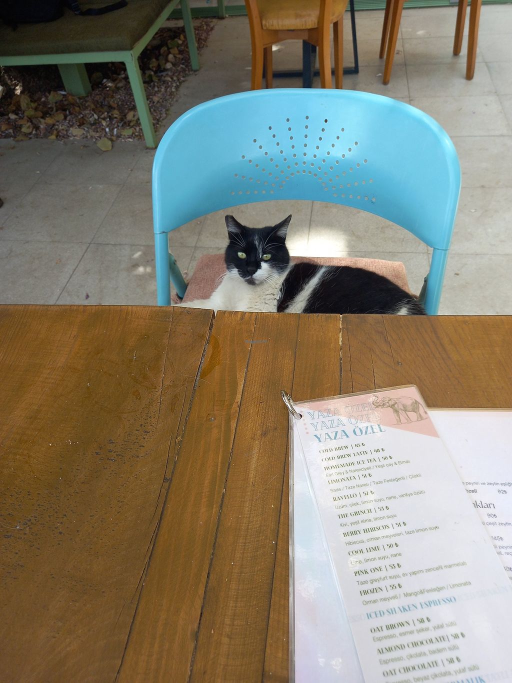 Habitat Breakfast Factory Izmir Restaurant HappyCow